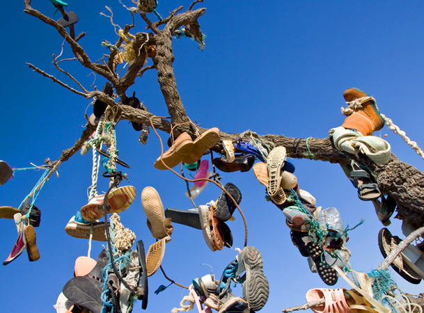 shoe tree